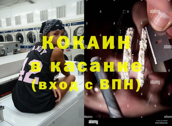 гашик Алексеевка