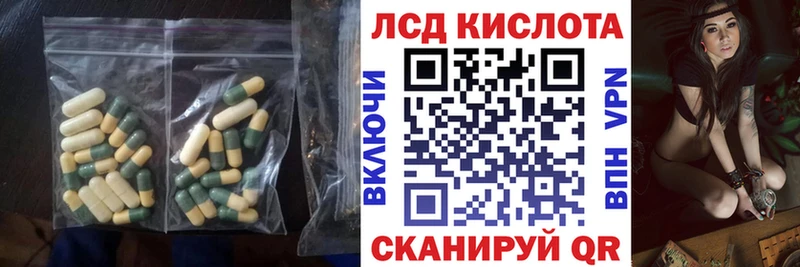 дарнет шоп  Бологое  LSD-25 экстази кислота 