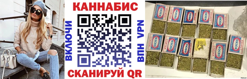 дарнет шоп  Бологое  Бошки марихуана сатива 